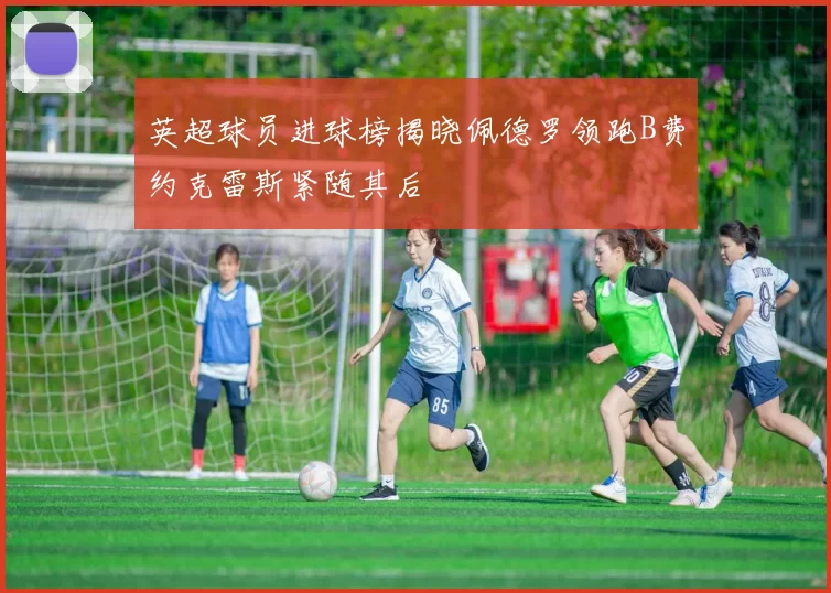 英超球员进球榜揭晓佩德罗领跑B费约克雷斯紧随其后